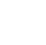 Selection Icon